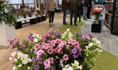 News image: Ontdek winterse schoonheid op de CNB Bloem- en relatiedagen!